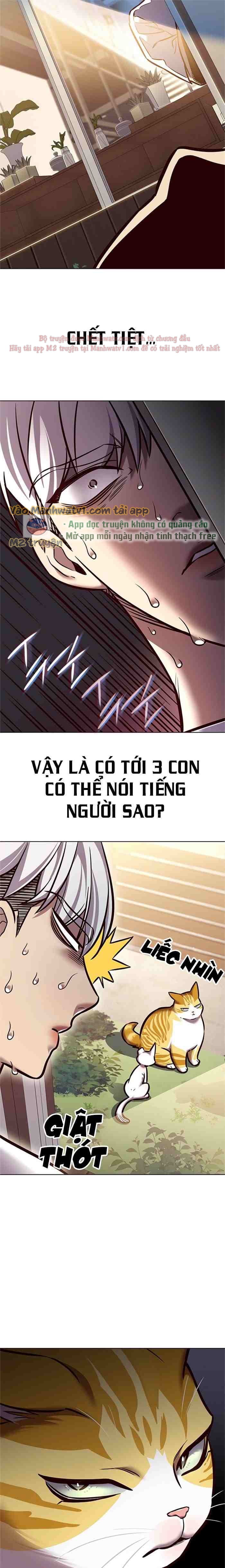 Đọc truyện Hóa thân thành mèo (Bản Free) - Chap 280